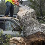 Tragedija u Prijepolju: Drvosječe oborile stablo direktno na automobil, stradala jedna osoba