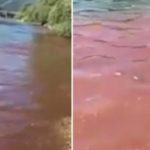 BP: Najveći problem zagađenje industrijskim i komunalnim otpadnim vodama i krivolov