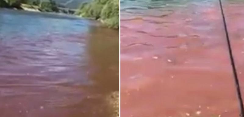 BP: Najveći problem zagađenje industrijskim i komunalnim otpadnim vodama i krivolov