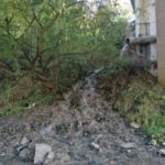 Ukupna ocjena stanja ekosistema rijeke Lim kroz opštinu Bijelo Polje je loše do veoma loše u dijelu toka kroz grad i nizvodno od grada