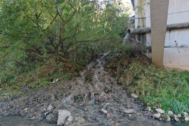 Ukupna ocjena stanja ekosistema rijeke Lim kroz opštinu Bijelo Polje je loše do veoma loše u dijelu toka kroz grad i nizvodno od grada