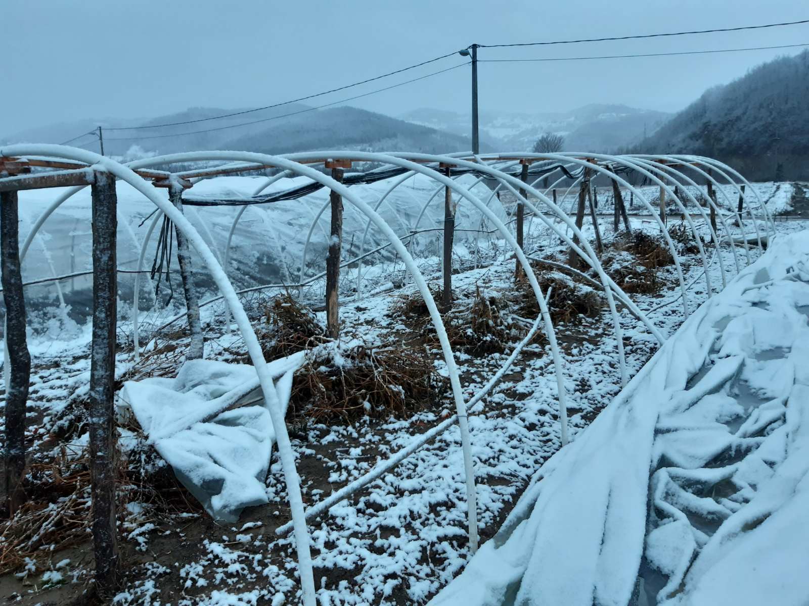 Jak vjetar oštetio plastenike – I dalje bez struje pojedina prijepoljska sela