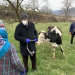 CHR “Hajrat” donirao kravu porodici Društinac