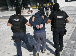 Uhapšeno devet članova organizovane kriminalne grupe