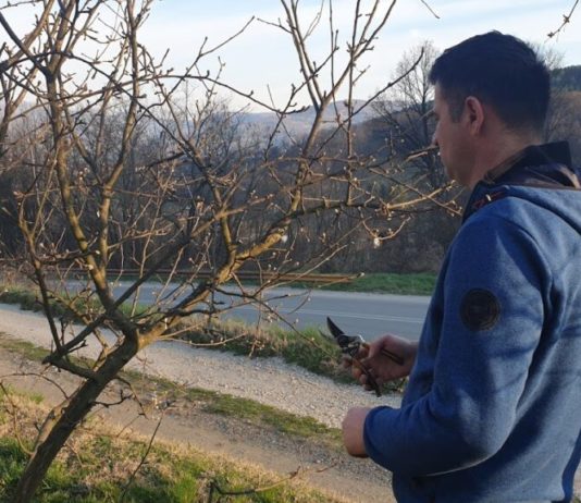 Na imanje uz posebnu dozvolu tokom policijskog časa