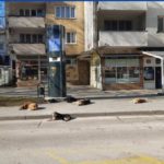 U Jajcu uhapšen osumnjičeni za trovanje desetina pasa od čega je 35 umrlo