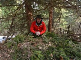 Ko brine o divljim životinjama na divljem Jadovniku