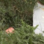 Mještane naselja Šestovo godinama muči problem sa kanalizacijom – vlast ne reaguje