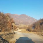 Da li će nam opet reći: “Poslije izbora, Insallah, dolaze mašine”