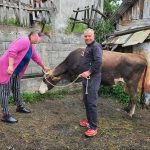 Hajrat donirao kravu samohranoj majci