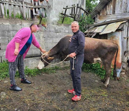 Hajrat donirao kravu samohranoj majci