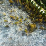 Ovako nakon požara izgleda šuma u rožajskom mjestu Daciće (Foto)