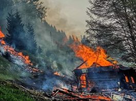 Rožaje: Vatra ne prijeti naseljenim objektima, požari pod kontrolom