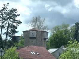 Sandžak Media i Hamza Škrijelj poklanjaju “Strijelu sudbine” humanim Bošnjacima Sandžaka i dijaspore