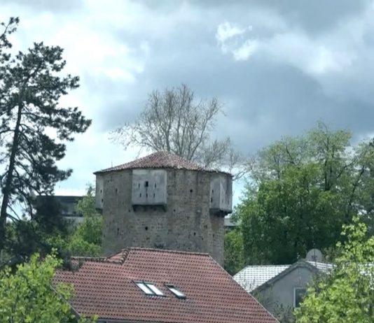 Sandžak Media i Hamza Škrijelj poklanjaju “Strijelu sudbine” humanim Bošnjacima Sandžaka i dijaspore