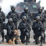 SAJ-ovci u pretresenoj kući u Novom Pazaru pronašli pola grama marihuane