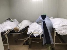 Novi Pazar: Europe's new Wuhan