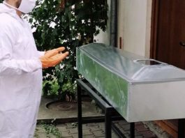 Da li je ova vlast okrvavila ruke?