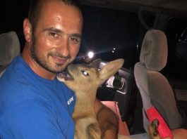 Divan gest Bjelopoljca: Spasio povrijeđeno lane