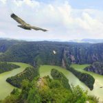 Sjenica / Razmatra se zabrana letova iznad Uvca zbog bijeloglavih supova