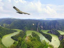 Sjenica / Razmatra se zabrana letova iznad Uvca zbog bijeloglavih supova