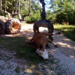 Stočaru iz okoline Brodareva otrovane krave?