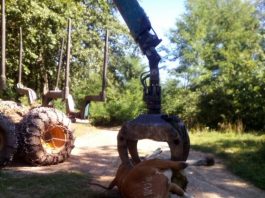 Stočaru iz okoline Brodareva otrovane krave?