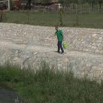 U toku zaprašivanje larvi komaraca