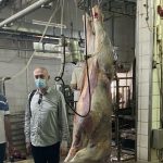 Kurbanska akcija završena na vrijeme