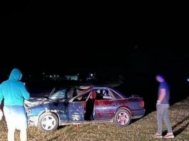 Nezgoda u Beranama, automobil udario konja (Foto)