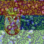 Od petka povratak u Srbiju uz pojačan nadzor, bez izolacije