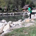 U toku zaprašivanje larvi komaraca