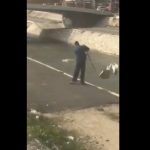 Smeće s keja bacaju u reku: Video iz Pazara zgrozio građane