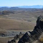 Umjesto na spaljivanje ili divlje deponije, uginule životinje “poklanjaju” beloglavim supovima