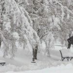 Meteorolog iz Tutina Muhamed Ademović dao prognozu za nastupajuću zimu! Godinama unazad pogađa na ovaj način!