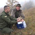 Lovačko udruženje “Hajla” uspješno izvelo akciju puštanja fazana u lovištu Besnik