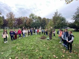 Zasađeno drvo generacije u okviru dječije nedjelje
