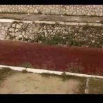 Muratović – U ”evropskom Novom Pazaru” krv iz klanica završi u rijeci