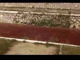 Muratović – U ”evropskom Novom Pazaru” krv iz klanica završi u rijeci