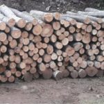 CHR Hajrat i ove godine pokreće akciju podjele ogrijevnog drveta