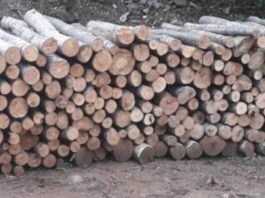 CHR Hajrat i ove godine pokreće akciju podjele ogrijevnog drveta