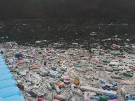 Katastrofa u Priboju: Ako se ovako nastavi, Lim je mrtav (VIDEO)