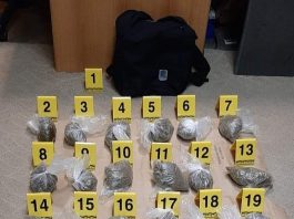 Bijelo Polje – Ugledali policiju, bacili drogu i dali se u beg