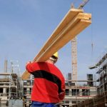 Pored frilensera, porez će plaćati i gastarbajteri?