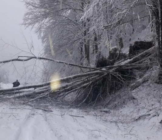 Bez struje Kolašin, Andrijevica, Plav i Gusinje