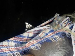 Policija u Prijepolju pronašla 14 kilograma marihuane