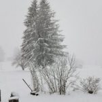 Epilog snežnih padavina: Proglašena vanredna situacija na delu teritorije opštine Prijepolje