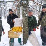 Novovaroški lovci obezbjedili hranu za zimsku prihranu divljači