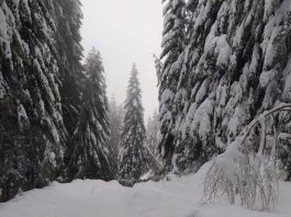 Neprohodno prema Rožajama preko Turijaka