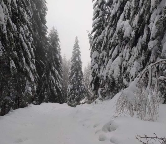 Neprohodno prema Rožajama preko Turijaka